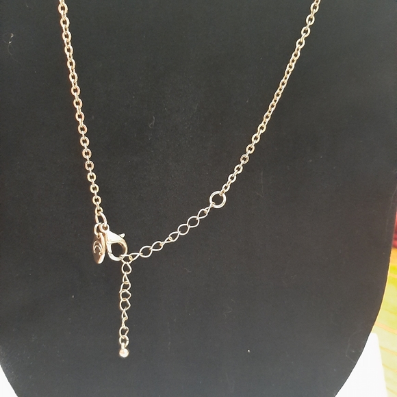 Charming Charlie Necklace - Picture 5 of 7